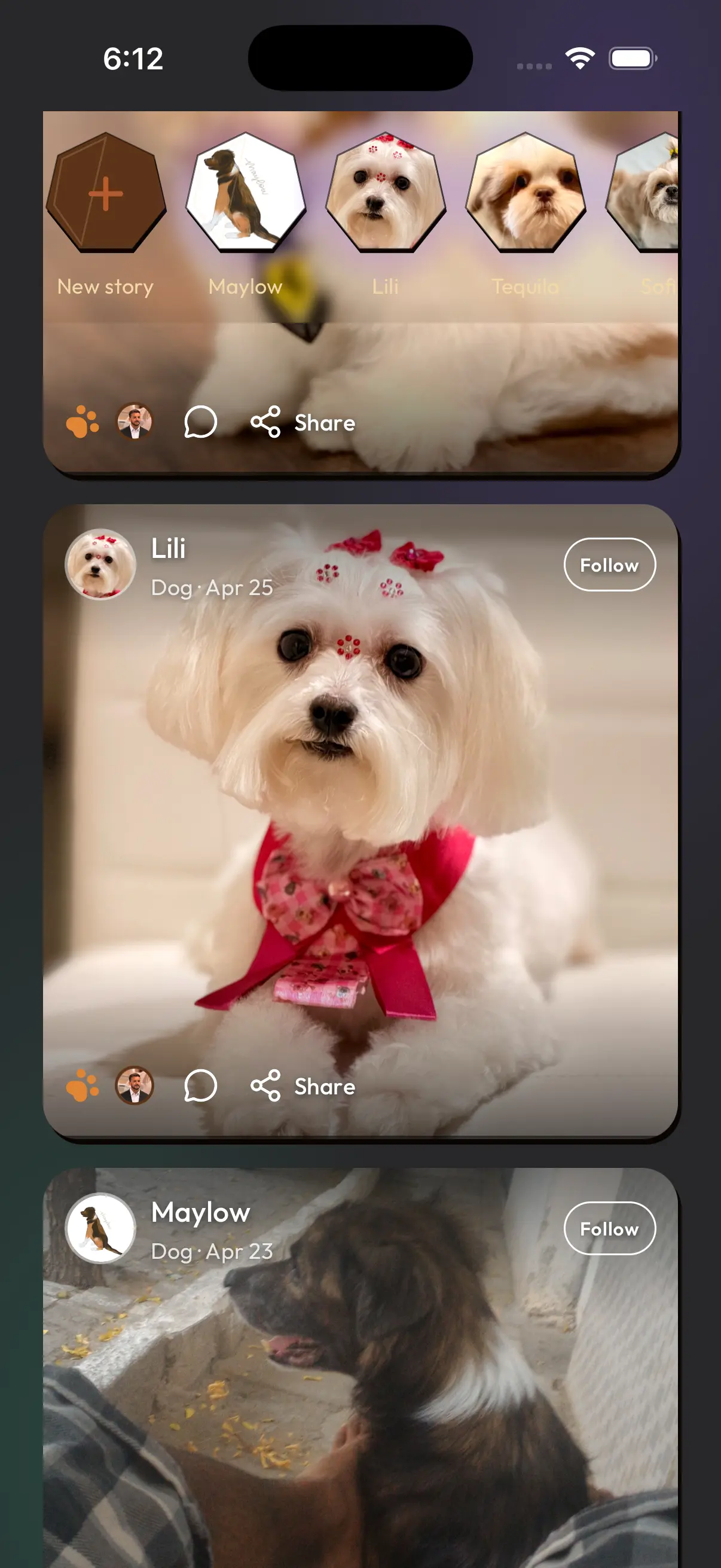A pet post in the Spawk feed